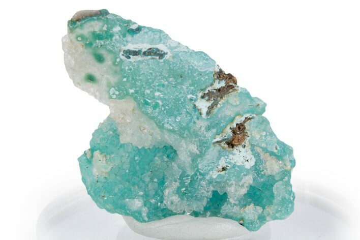 Sparkling Druzy Quartz on Chrysocolla - DR Congo #347495